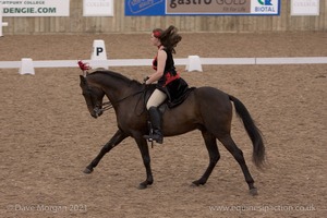 Lusitano Breed Society of Great Britain Show - Hartpury College - 27th June 2009